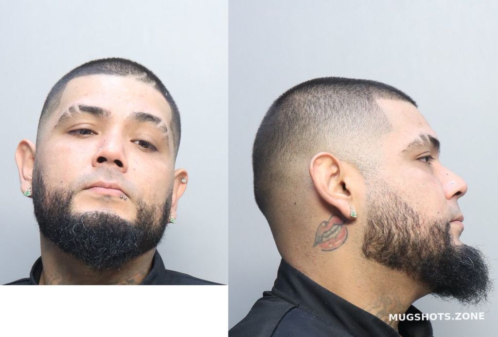 Mendoza Emerson Geovani Miami Dade County Mugshots Zone