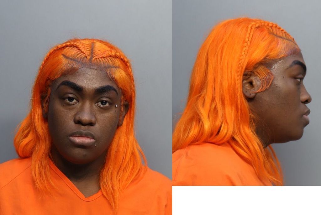 Stanley Keniesha Miami Dade County Mugshots Zone