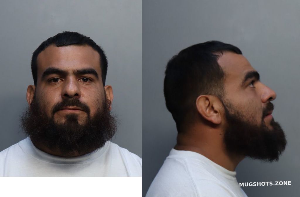 Pedraza Andres Miami Dade County Mugshots Zone