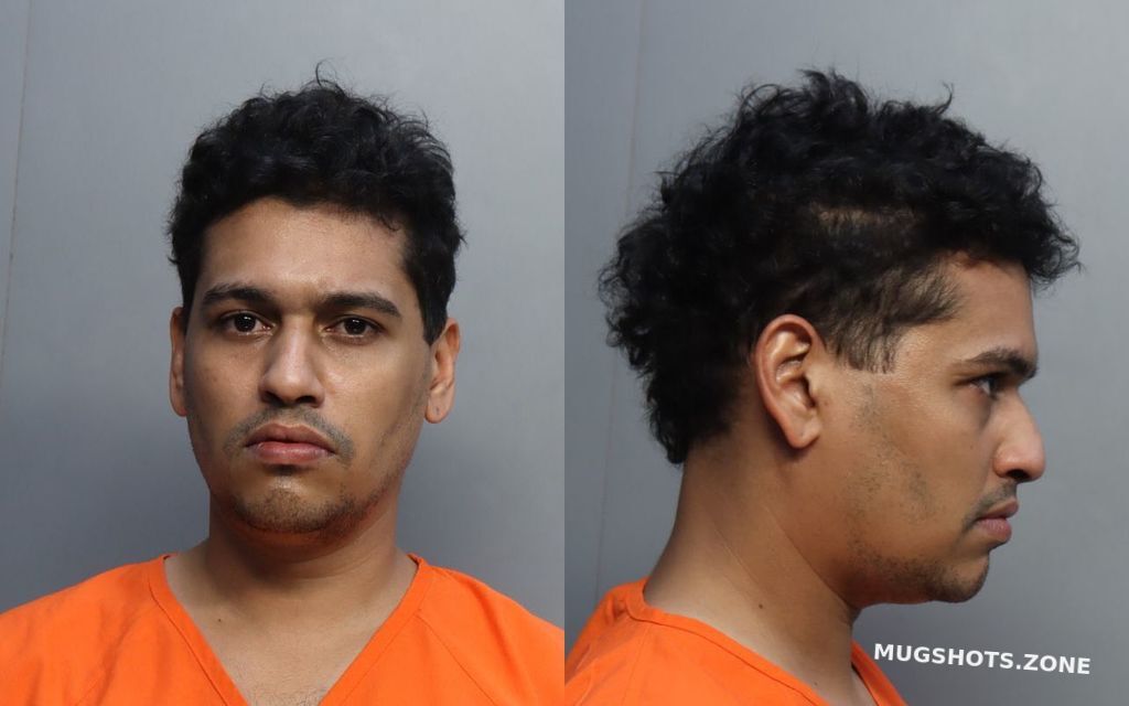 Payano Gerald Miami Dade County Mugshots Zone