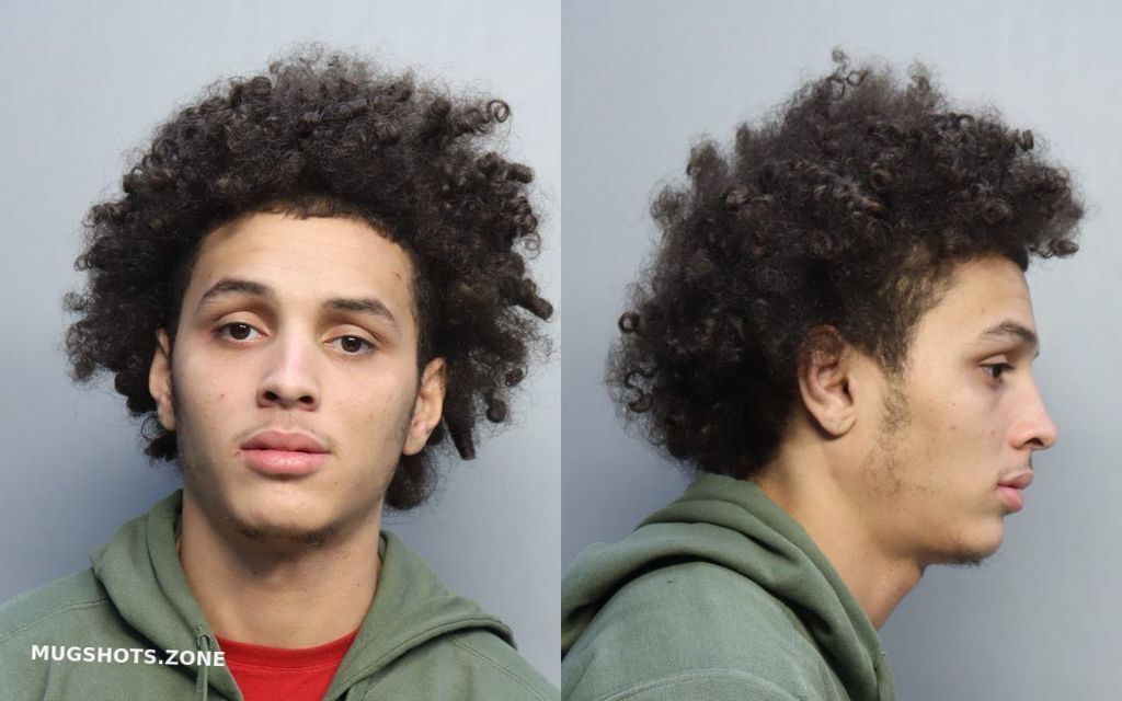 Simmons Javen Isaiah Miami Dade County Mugshots Zone