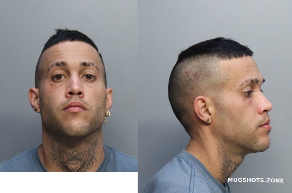 Gonzalez Alexis Miami Dade County Mugshots Zone