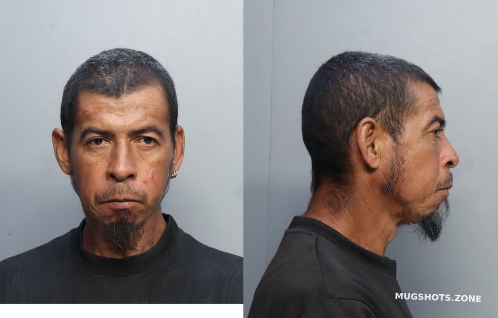 Mendoza Mauricio Miami Dade County Mugshots Zone