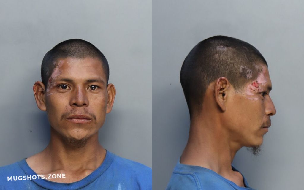 DOMINGO CARLOS 02 12 2023 Miami Dade County Mugshots Zone