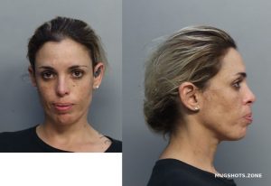 Angel Yesenia Miami Dade County Mugshots Zone