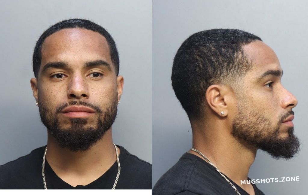 Johnson Ian Rae Miami Dade County Mugshots Zone