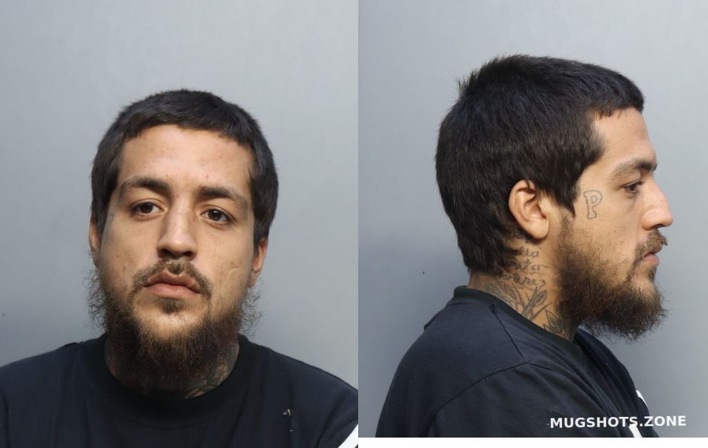 Palma Oscar Emmanuel Miami Dade County Mugshots Zone