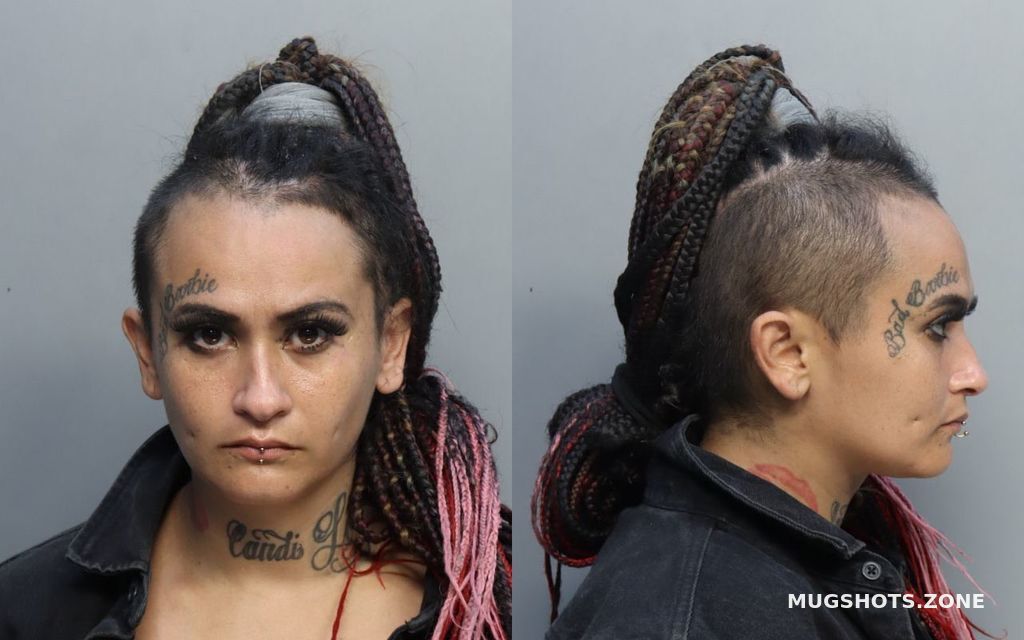 Hernandez Brenda Lynn Miami Dade County Mugshots Zone