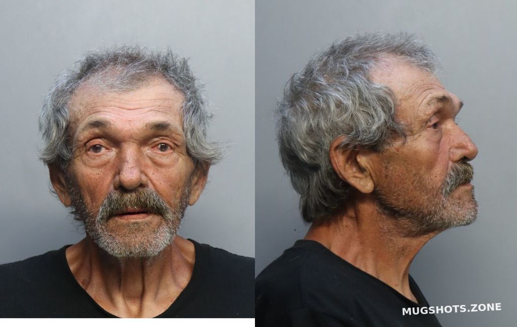 Navarro Marcelo Miami Dade County Mugshots Zone