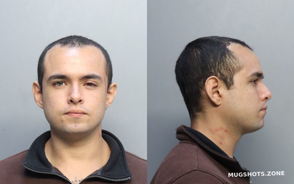 Ruiz Daniel Miami Dade County Mugshots Zone