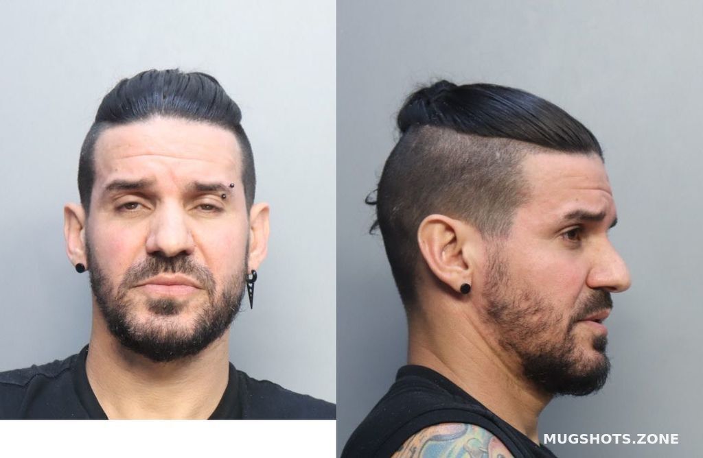 Castillo Adiam Yasser Miami Dade County Mugshots Zone