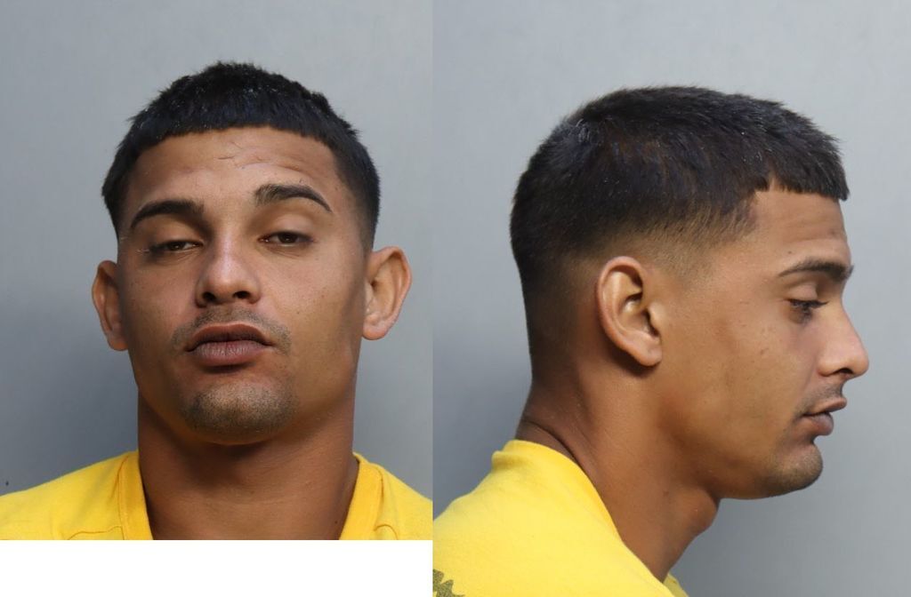 Sotoortega Felix Ernesto Miami Dade County Mugshots Zone