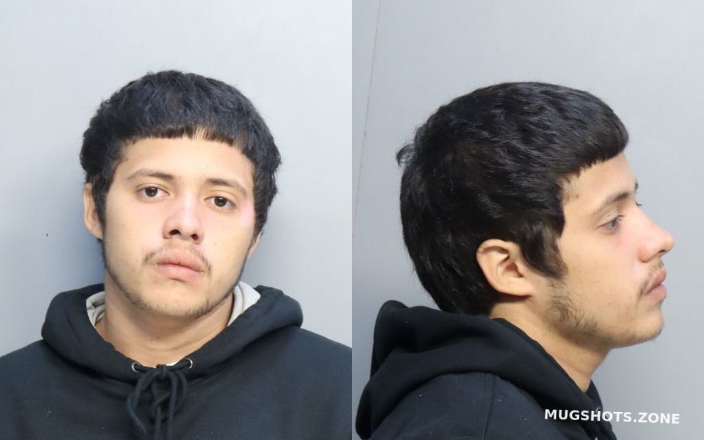 Almestica Luis Daniel Miami Dade County Mugshots Zone