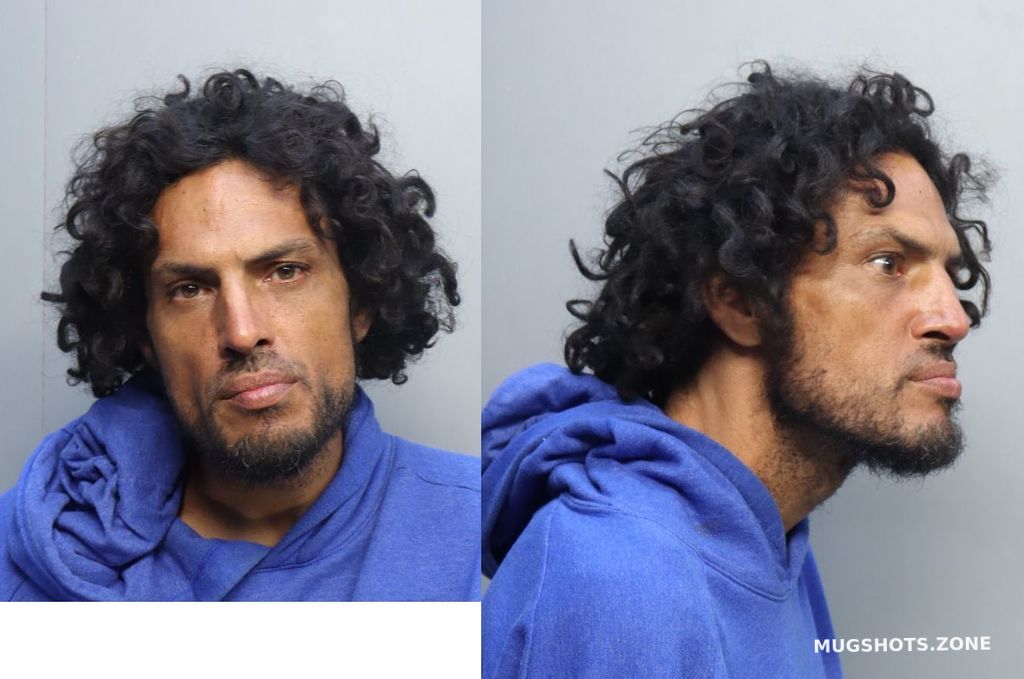 Celaya Shane Martell Miami Dade County Mugshots Zone