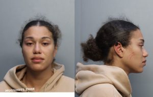 Judge Catrina Jasmin Miami Dade County Mugshots Zone