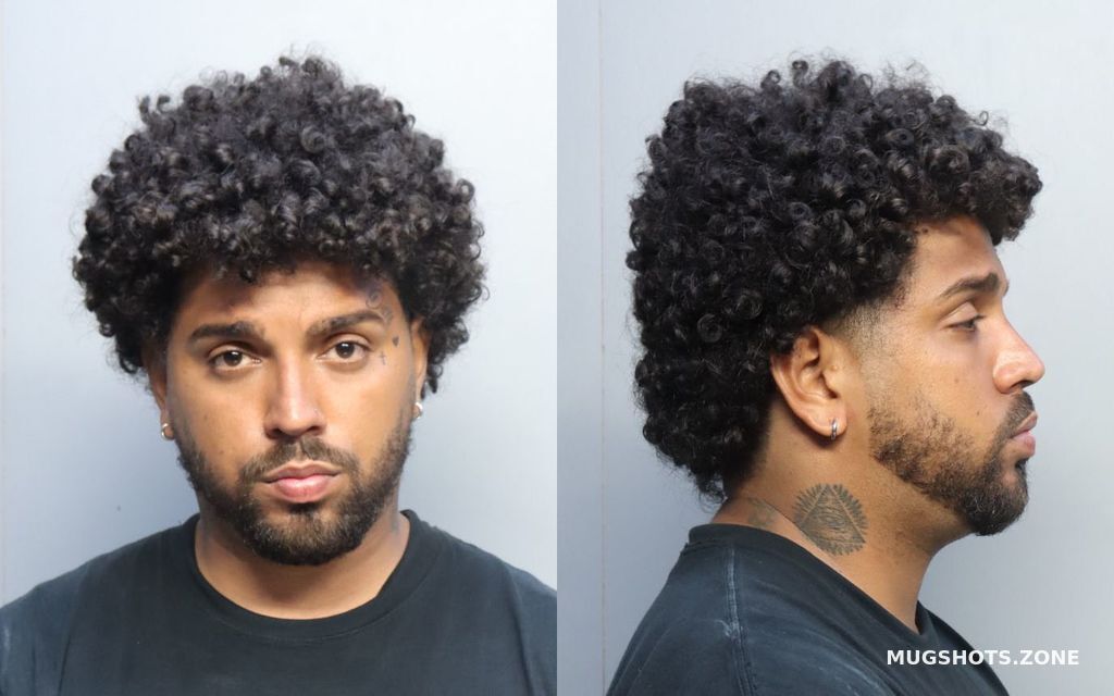 Repillozaveraza Dante Miami Dade County Mugshots Zone