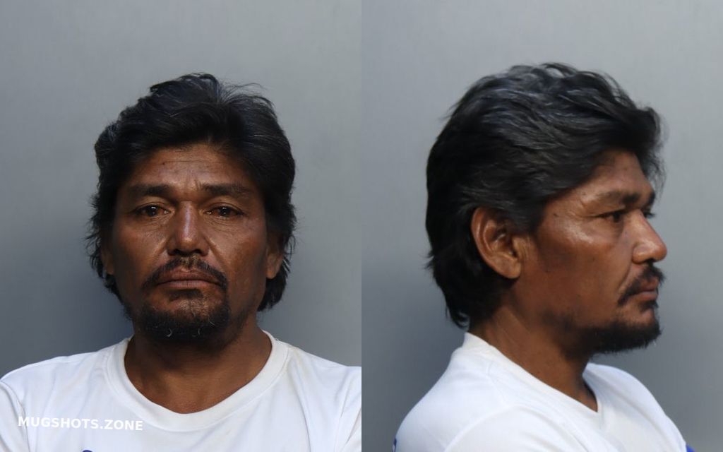 Salazar Medinas Emiliano Miami Dade County Mugshots Zone