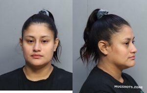 BRAYAN JENNIFER 04 03 2023 Miami Dade County Mugshots Zone