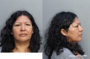 Torres Carmen Miami Dade County Mugshots Zone