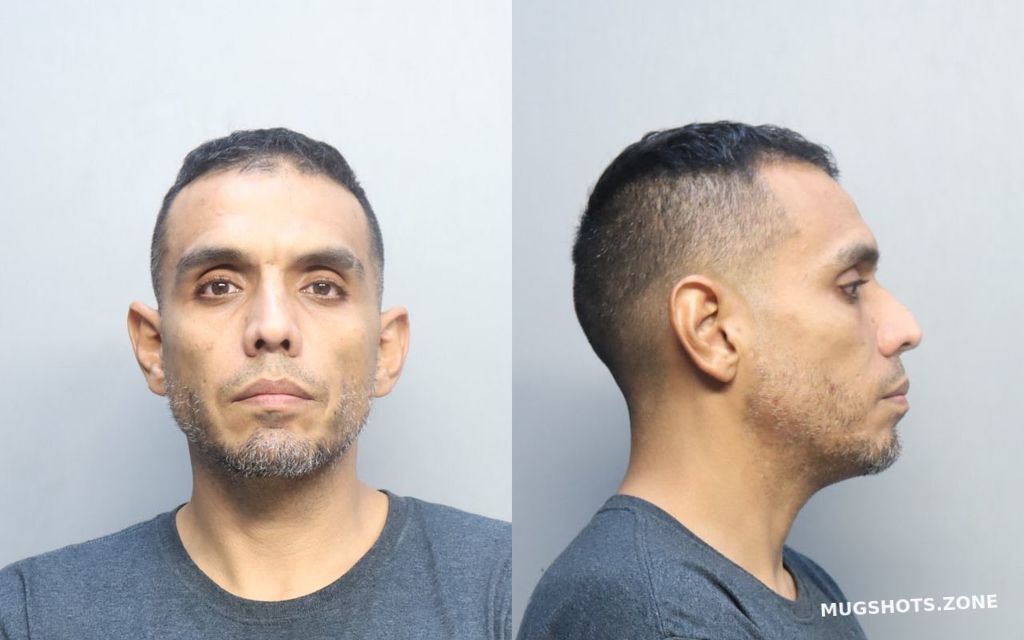 Diaz Sinuhe Miami Dade County Mugshots Zone