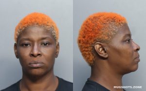 Jackson Lesley Ann Miami Dade County Mugshots Zone