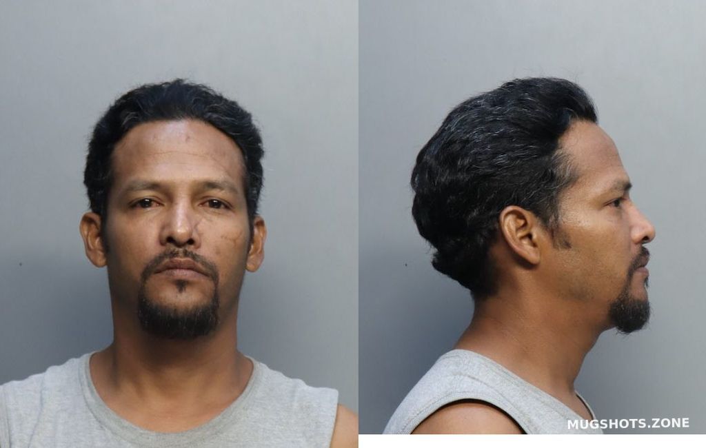 BAEZ CASTILLO ADOLFO ANTHONY 04 28 2023 Miami Dade County Mugshots Zone