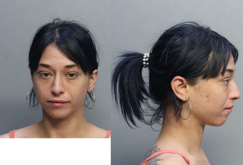 Crespo Leslie Miami Dade County Mugshots Zone