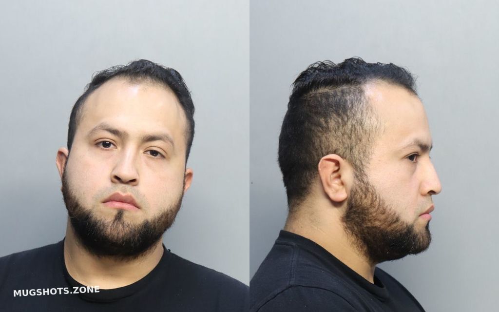 Maeda Mefi Miami Dade County Mugshots Zone