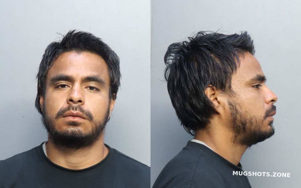 Martinez Juan Miami Dade County Mugshots Zone