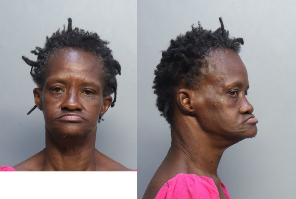 Meade Tammy Miami Dade County Mugshots Zone