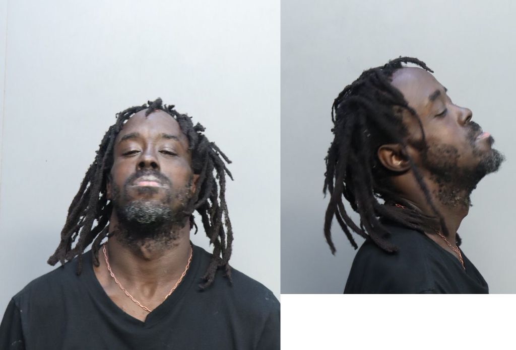 Johnson Charlie Miami Dade County Mugshots Zone