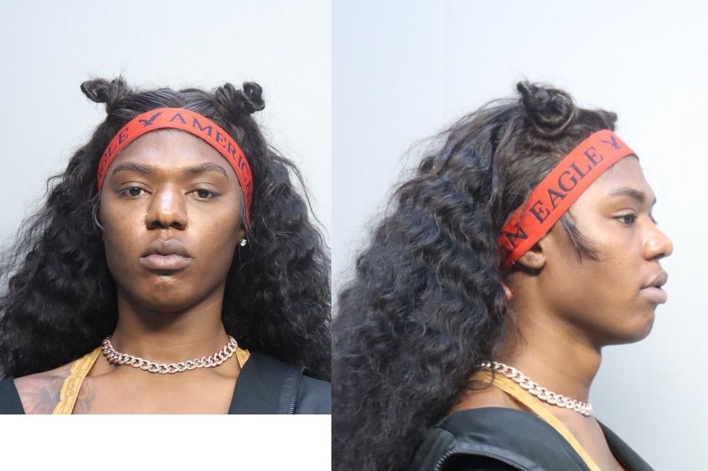 Mckenziee Kihmani Jael Miami Dade County Mugshots Zone