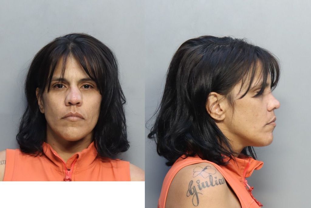 PEREZ JENNY YOLANDA 06 02 2023 Miami Dade County Mugshots Zone