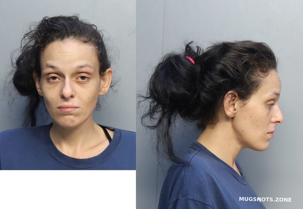 Castro Vanessa Miami Dade County Mugshots Zone