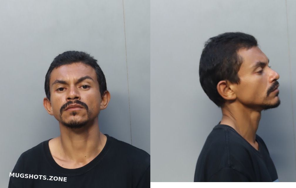 Ramirez Mario Miami Dade County Mugshots Zone