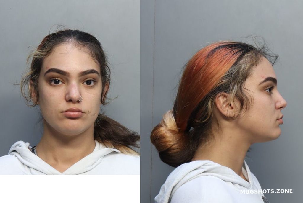 Pajaron Jacqueline Rose Miami Dade County Mugshots Zone