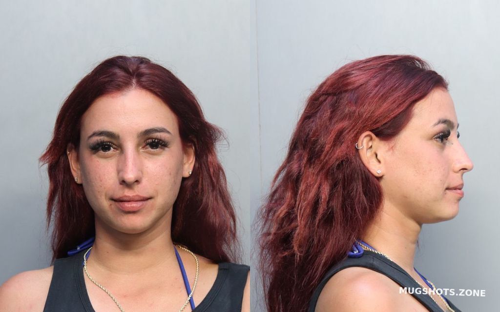 Borrotoperez Leslie Daniela Miami Dade County Mugshots Zone