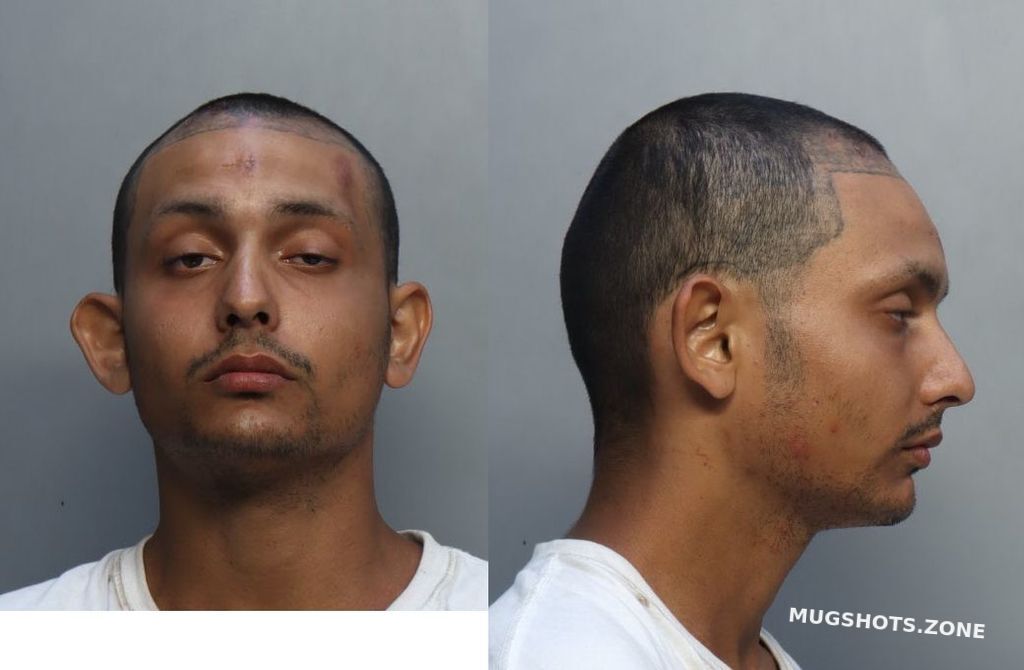 VILLARREAL RONNY JOSE 06 18 2023 Miami Dade County Mugshots Zone