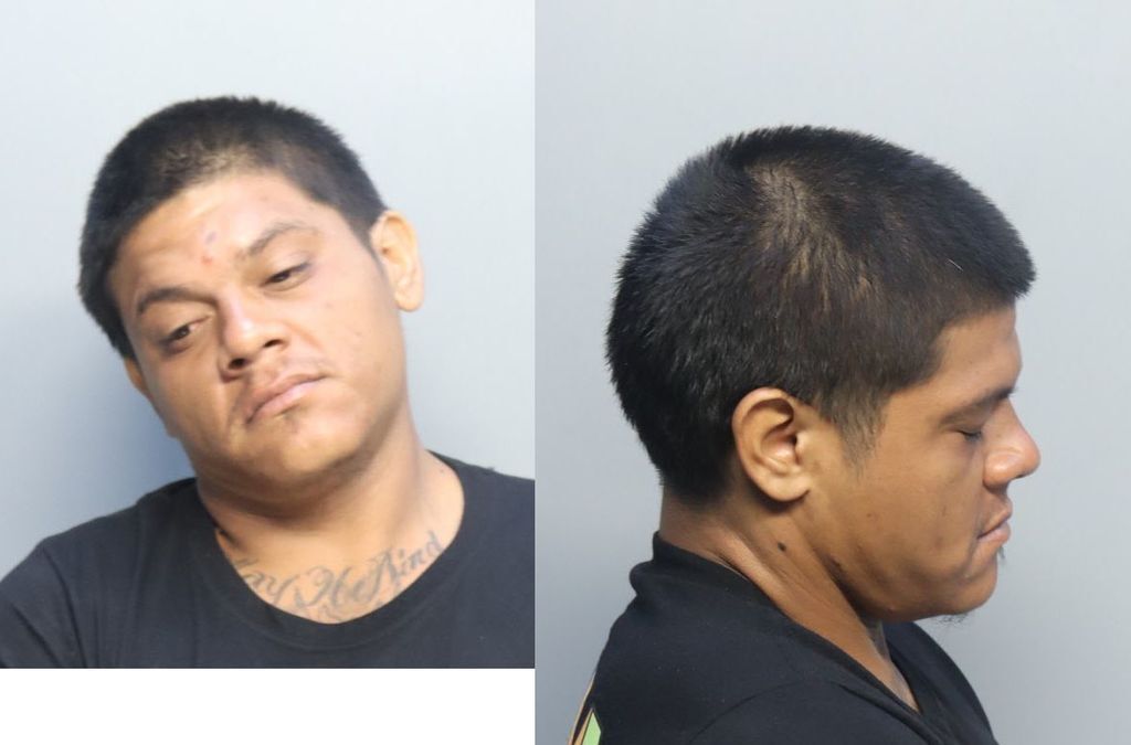 Ferrera Elvis Geovanny Miami Dade County Mugshots Zone