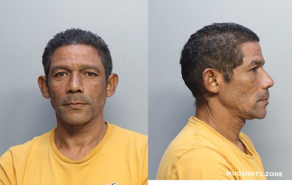 Llanes Luis Ignacio Miami Dade County Mugshots Zone