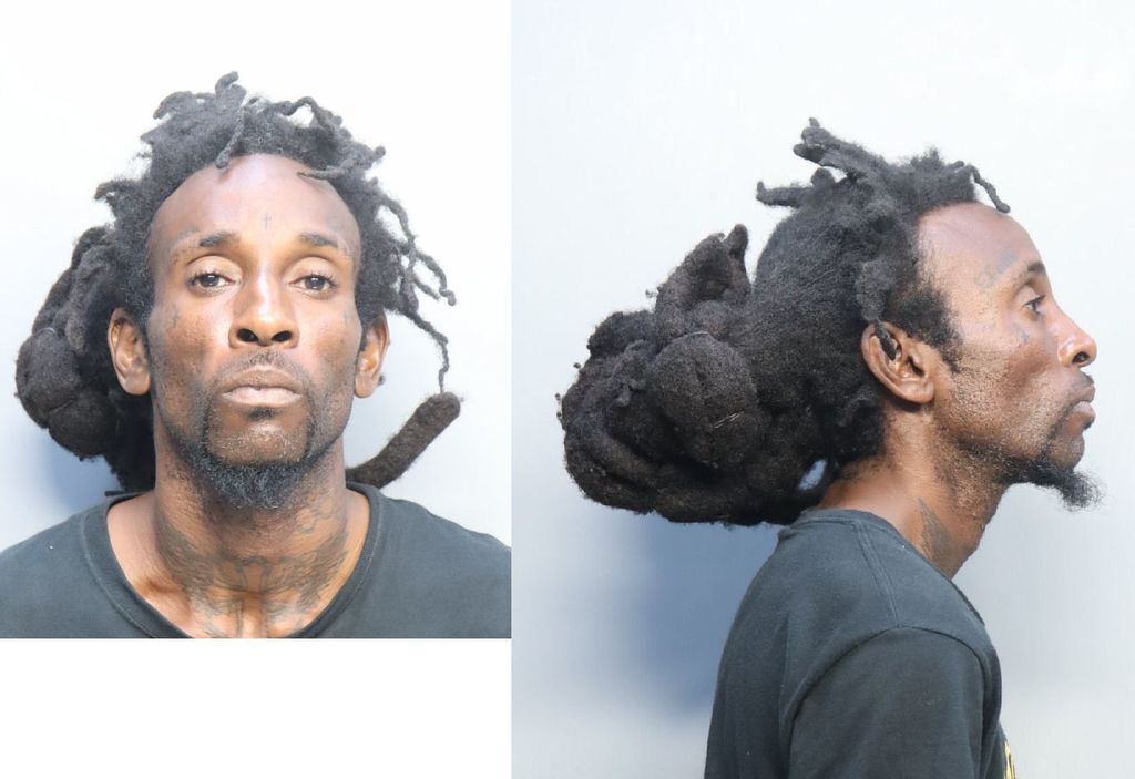 Hayes Paul Keon Miami Dade County Mugshots Zone