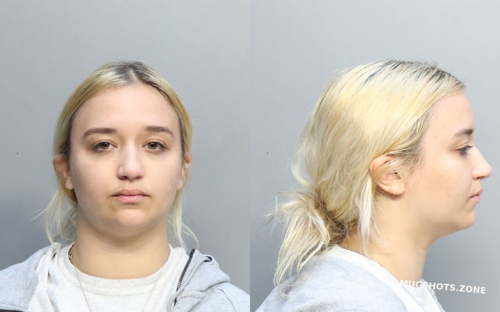 Castillo Kelly Miami Dade County Mugshots Zone