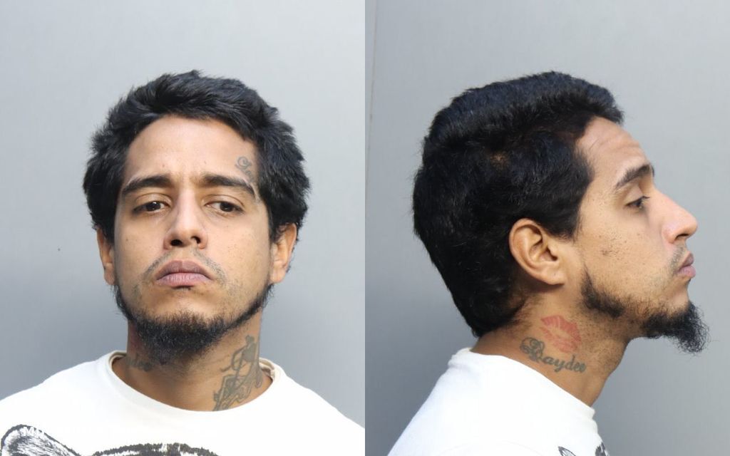 Ruiz Raymond Miami Dade County Mugshots Zone