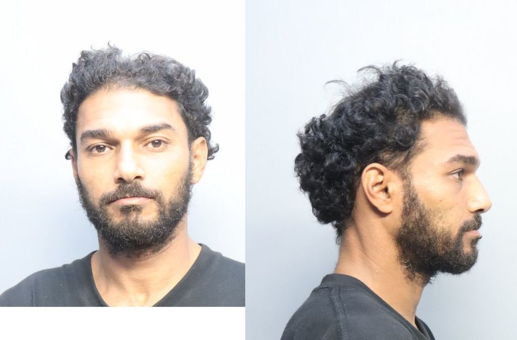 Mohamed Haitham Miami Dade County Mugshots Zone