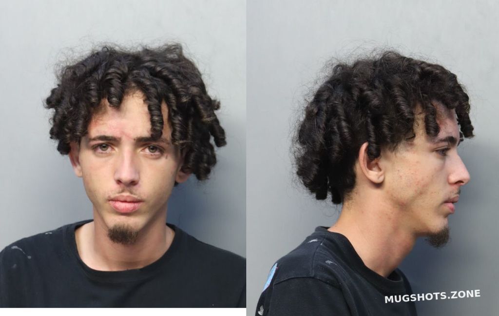 Perez Diaz Alexis Miami Dade County Mugshots Zone