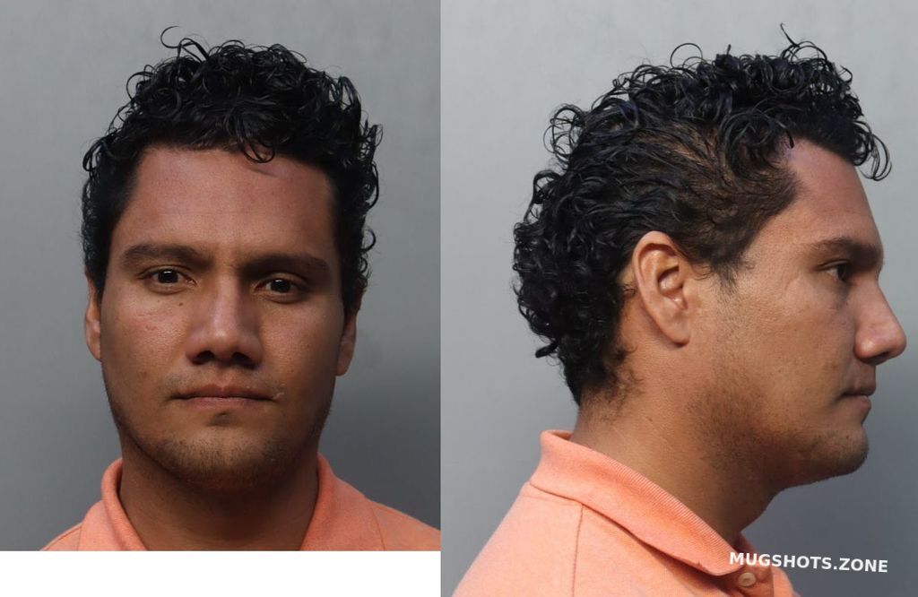 Peraza Jordan Moises Miami Dade County Mugshots Zone