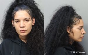 Perez Cathleen Elaine Miami Dade County Mugshots Zone