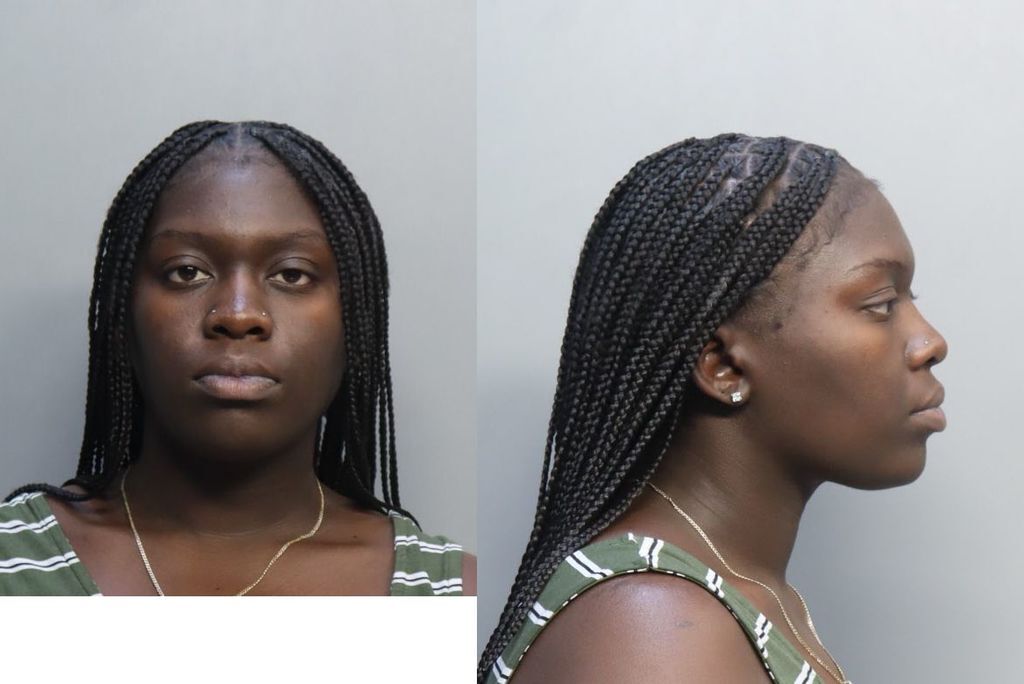 Bailey Efrenay Miami Dade County Mugshots Zone