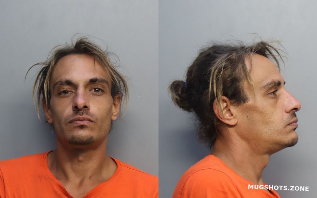 Hernandez Jonathan Anthony Miami Dade County Mugshots Zone