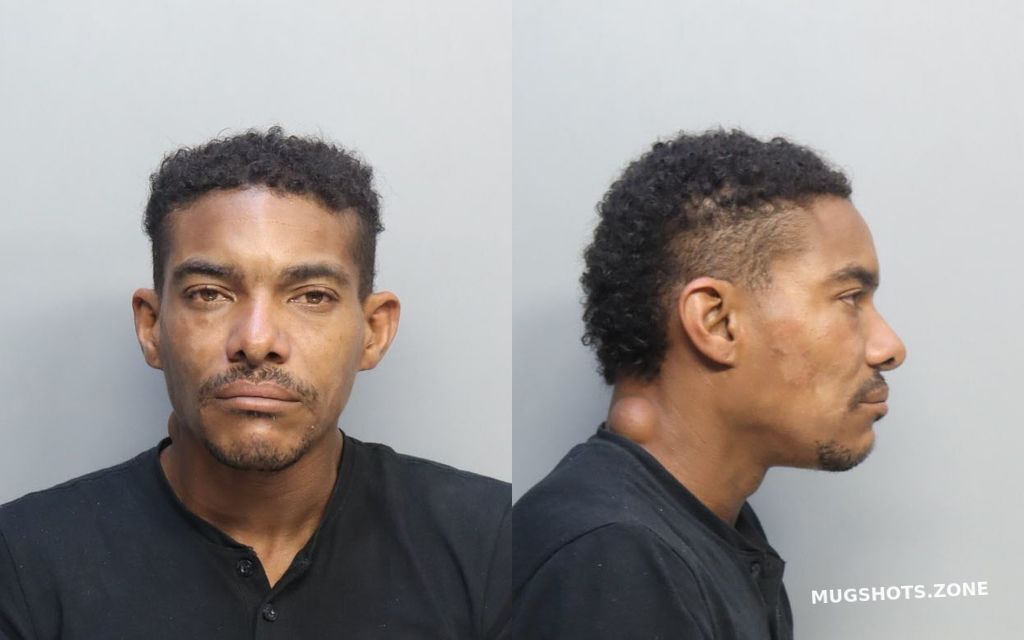 Martinez Hernandez Hendryt Miami Dade County Mugshots Zone